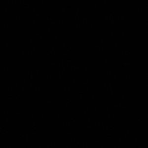 Meet your Posher, Cinque